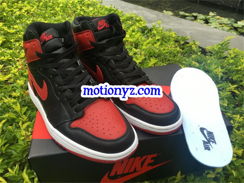 Tumbled Leather Air Jordan 1 OG High Banned 2017